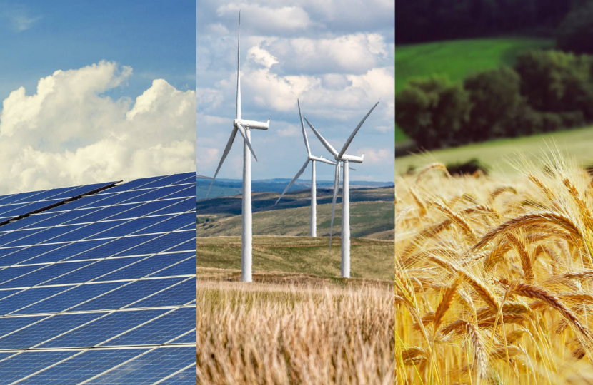 Images of solar panels, wind turbines and ripe wheat.